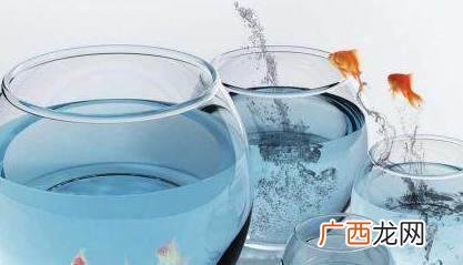 家中财位旺财摆放植物 家里财位适合摆放什么东西