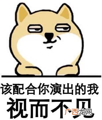 请开始你的表演是什么意思？什么梗？请开始你的表演表情包