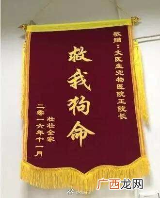救我狗命是什么意思？
