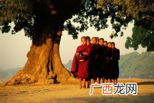 皈依是什么意思,皈依佛，皈依法，皈依僧，皈依秀姑娘是什么意思？