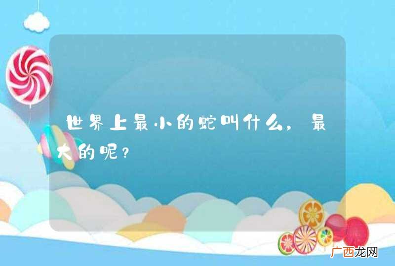 世界上最小的蛇叫什么，最大的呢？