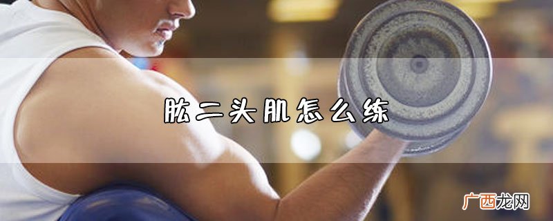 肱二头肌怎么练