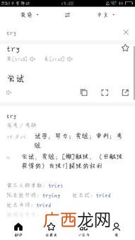 try是什么意思,try啥意思？