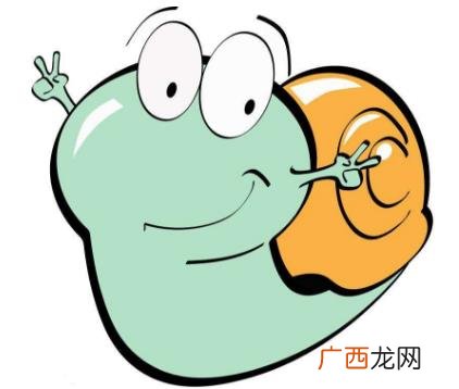 蜗蜗族是什么意思？蜗蜗族的特征：勇于追求、能干能玩的群体