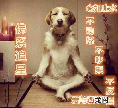 佛系是什么意思什么梗？佛系及衍生词语刷屏 佛系和佛教有关系吗
