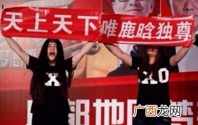 脑残粉是什么意思?脑残粉群体特征分类 脑残粉脑残事件