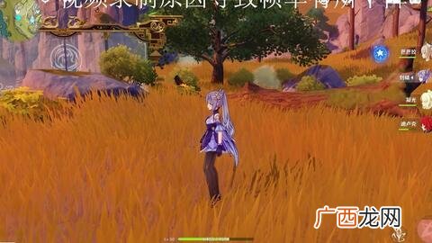 无限流是什么意思,什么叫无限流，系统流，随身流？