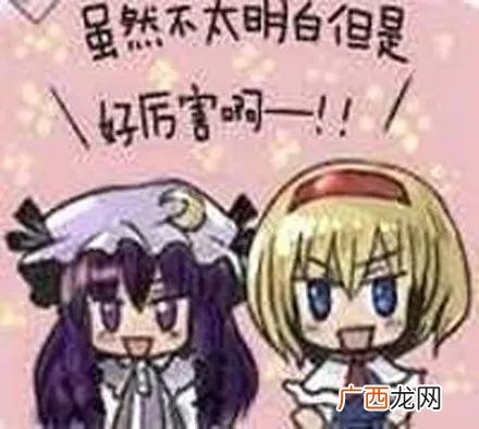 不明觉厉是什么意思,不明觉厉、普大喜奔、人艰不拆、累觉不爱是什么意思？