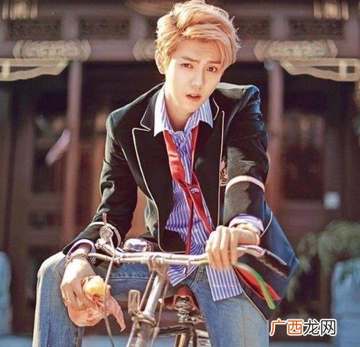 刘壮实是什么意思什么梗？鹿晗的原名叫什么？鹿晗为什么被叫刘壮实
