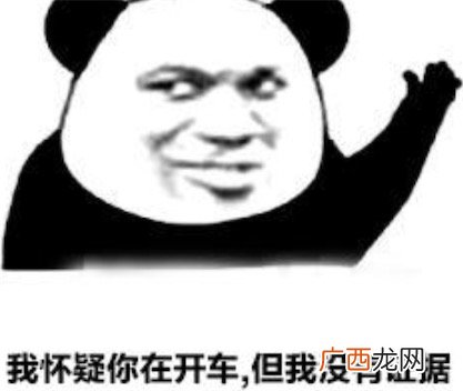 疑车无据是什么意思什么梗 我怀疑你在开车，但是我没有证据梗意思