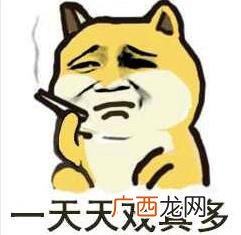 或许这就是女人吧是什么意思什么梗？常用来吐槽女生的万能用语