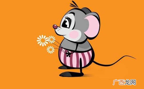 与三大属相合作财运最好 属猪人跟谁一起财运好