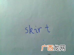 skirt是什么意思,skirt是什么梗?