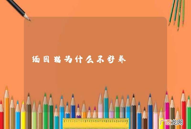 缅因猫为什么不好养