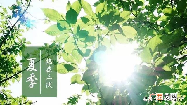 三伏天从什么时候开始,三伏天从什么时候开始?
