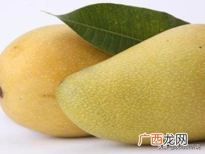芒果可以放冰箱冷藏吗,芒果放冰箱好还是放外面好？