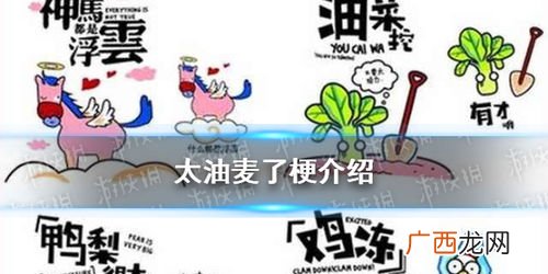 油麦是什么意思,莜在诗经中的寓意？