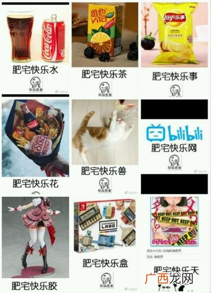 肥宅快乐水是什么意思？为什么可乐叫肥宅快乐水？喝可乐为什么长胖