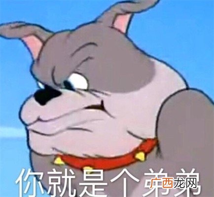 弟弟行为是什么意思什么梗 你就是个弟弟的含义