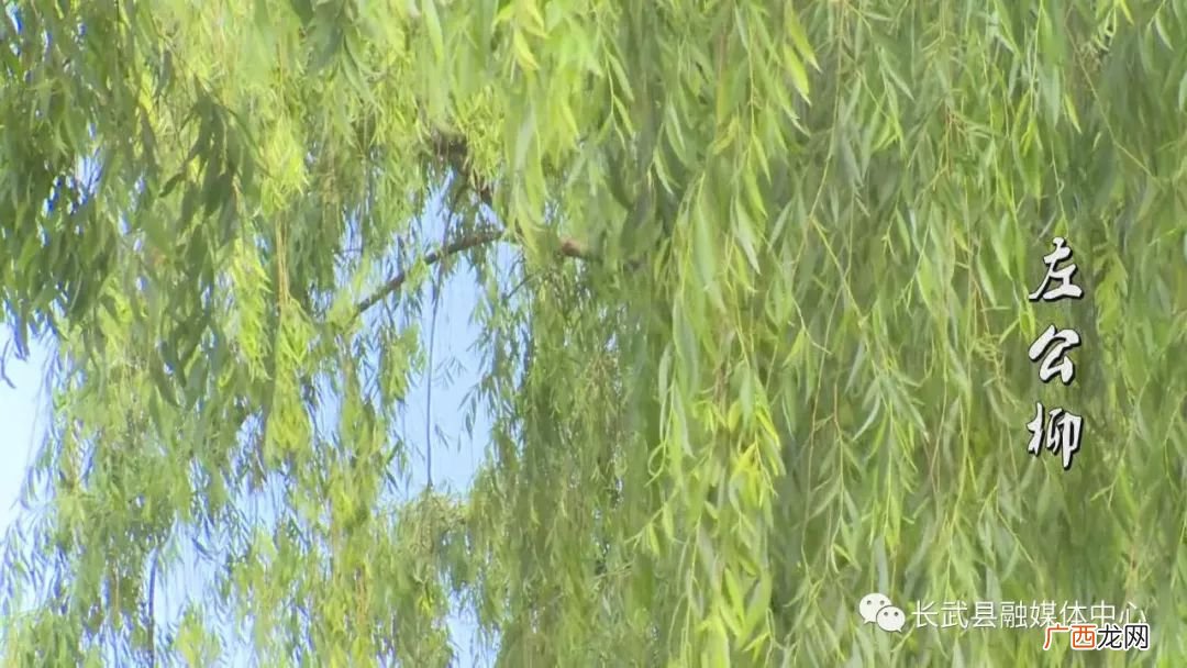 大将筹边尚未还里的大将是谁,大将筹边尚未还这首诗颂扬的是我国哪一位名将？