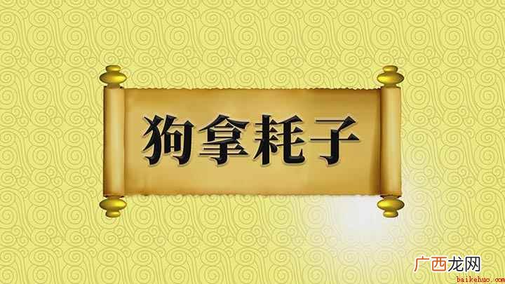 成语【狗拿耗子】;它是一个歇后语,多与“多管闲事”搭配,意思 狗拿耗子