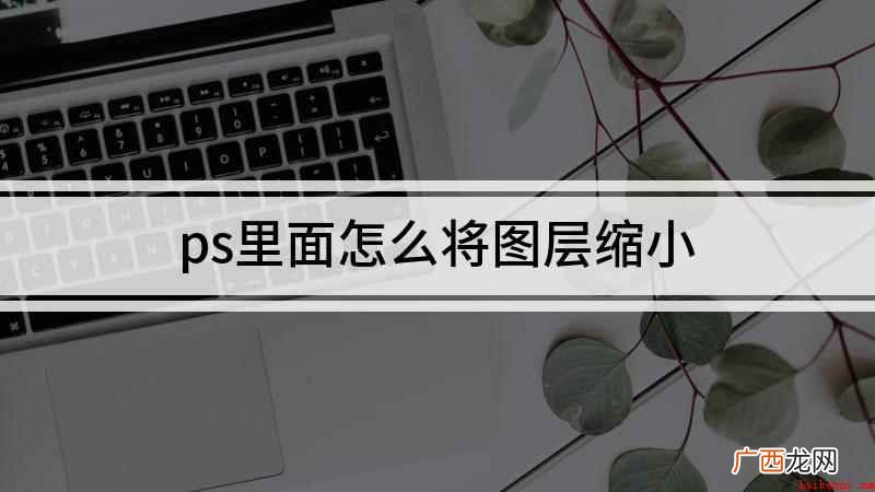 台式组装机,适用系统:windows10 专业版 ps里面怎么将图层缩小