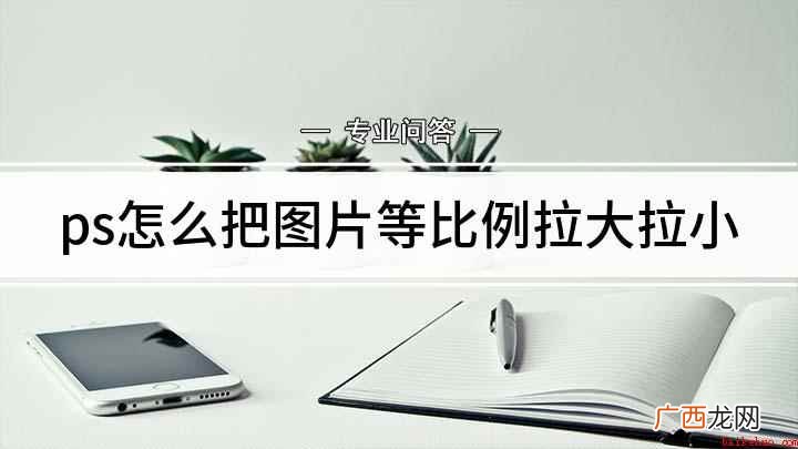 Adobe Photoshop CC 2019PS图片拉大拉 ps怎么把图片等比例拉大拉小