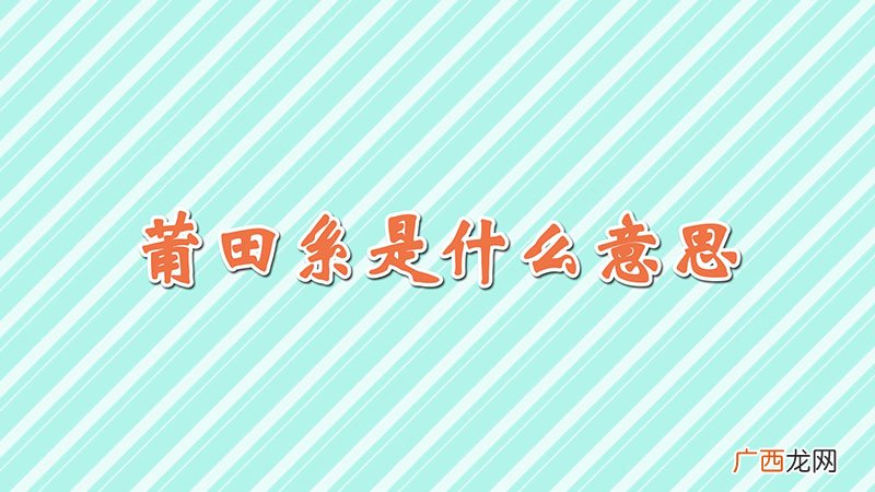 莆田系是什么意思