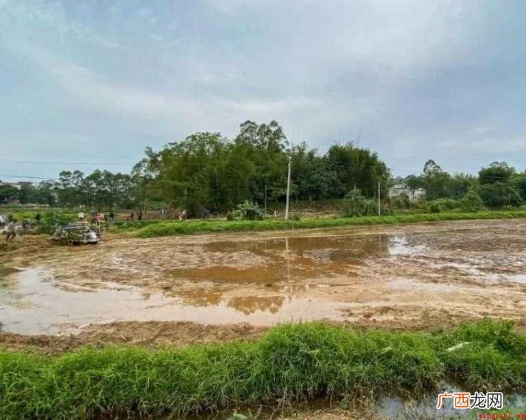 闲置土地处置办法有哪些