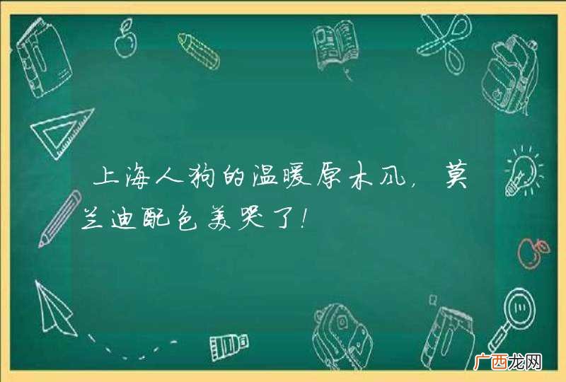 上海人狗的温暖原木风,莫兰迪配色美哭了!