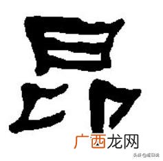 昂是什么意思,网络用语昂什么意思？