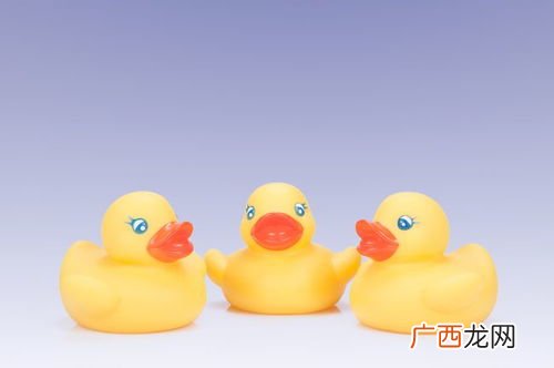 duck是什么意思,谁知道duck是什么意思？