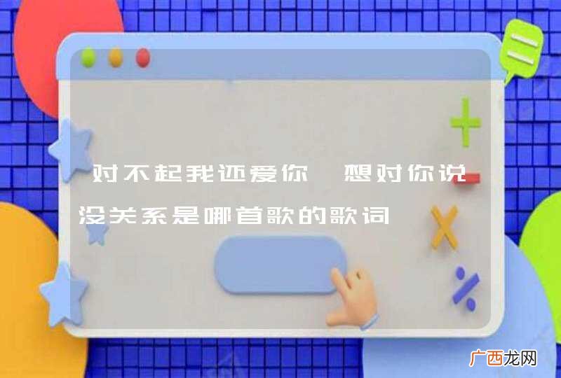 对不起我还爱你,想对你说没关系是哪首歌的歌词