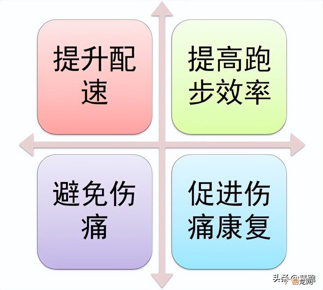 常见的8种力量训练介绍 无器械上肢力量训练有哪些