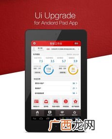 pad是什么意思,PAD是什么意思啊?