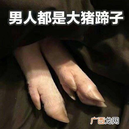 大猪蹄子是什么意思什么梗 《延禧攻略》弹幕吐槽男主角皇上是大猪蹄子