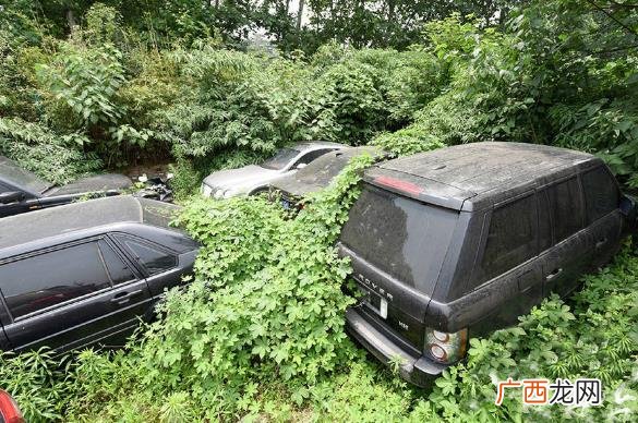 僵尸车是什么意思 城市里僵尸车放烂也不开走 产生的原因是什么