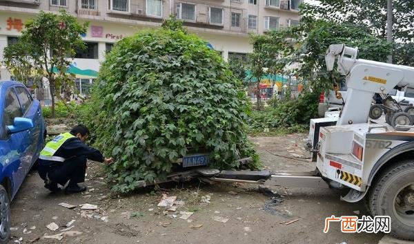 僵尸车是什么意思 城市里僵尸车放烂也不开走 产生的原因是什么