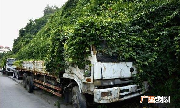 僵尸车是什么意思 城市里僵尸车放烂也不开走 产生的原因是什么