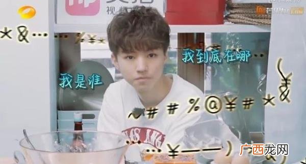 我不要你觉得，我要我觉得是什么意思 黄晓明《中餐厅》明言明语