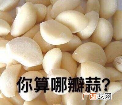 你算哪块小饼干是什么意思什么梗？卖萌式骂人怼人斗图表情包分享