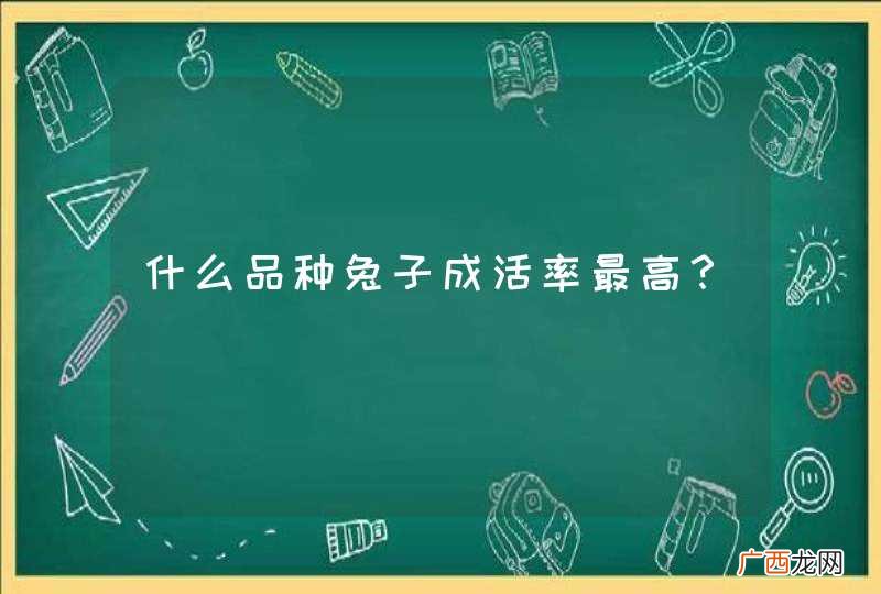 什么品种兔子成活率最高？
