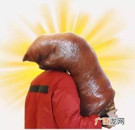 大猪蹄子是什么意思,大猪蹄子是什么意思？