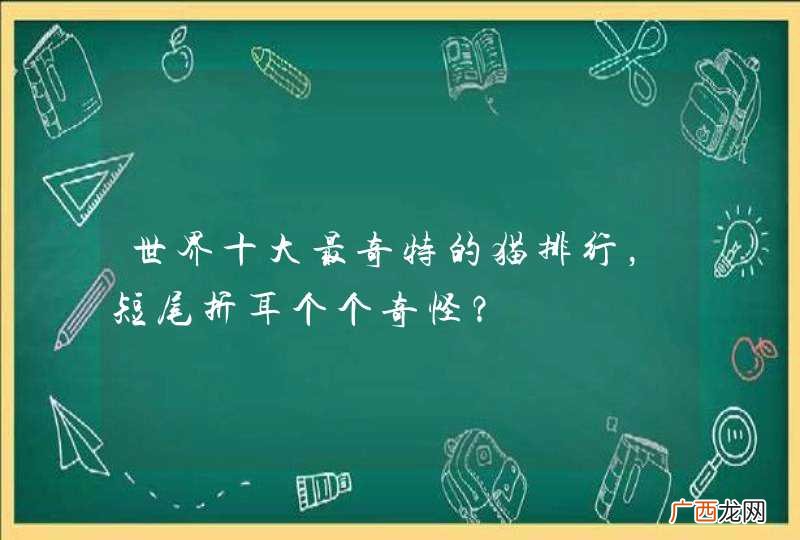 世界十大最奇特的猫排行，短尾折耳个个奇怪？