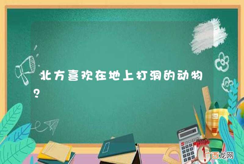 北方喜欢在地上打洞的动物?