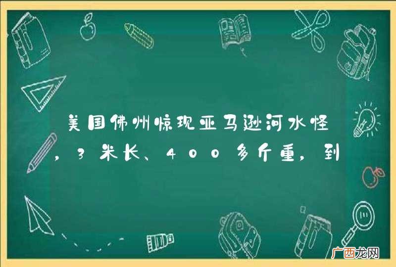 美国佛州惊现亚马逊河水怪，3米长、400多斤重，到底是什么物种？