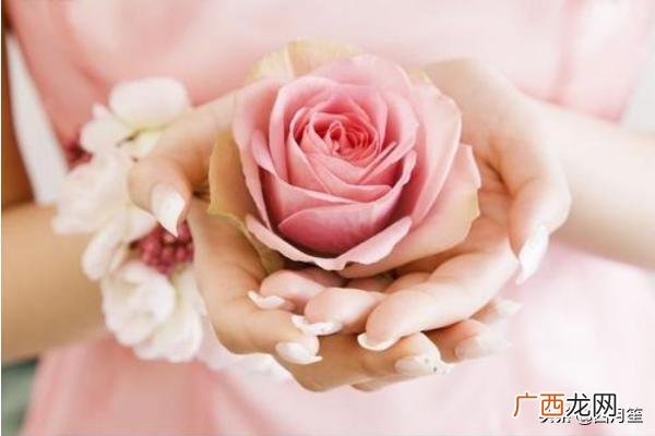 粉色玫瑰花代表什么意思,粉红色玫瑰的含义？