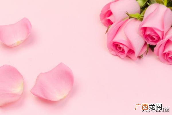 粉色玫瑰花代表什么意思,粉红色玫瑰的含义？