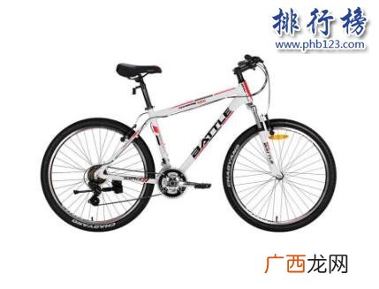 山地自行车哪个牌子好,自行车十大最耐用链条？