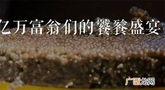 贫穷限制了我的想象力是什么意思什么梗 贫穷限制了我的想象的出处
